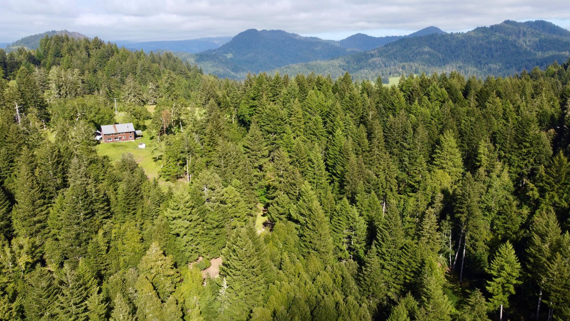 1460 Tim Mullen Road Kneeland, CA 95549 - Photo 4 of 93