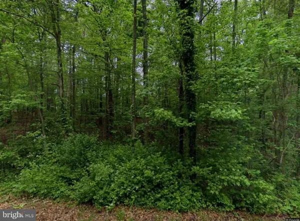 a view of a green field with lots of bushes