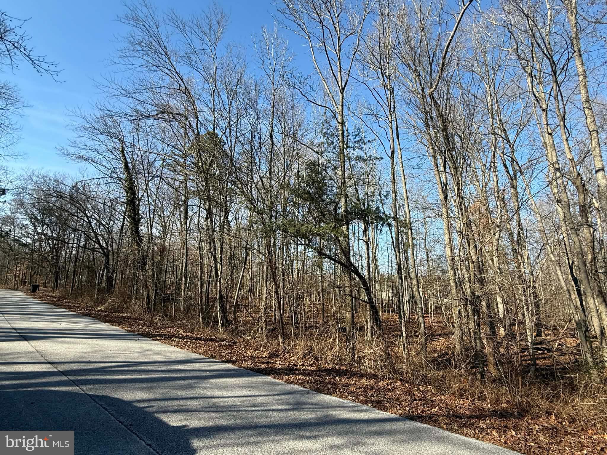 11126 Reynolds Road Kingsville, MD 21087 - Photo 2 of 3 Serene path through winter's embrace.