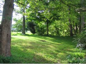 115 West Pines Road Afton, TN 37616 - Photo 4 of 7 Photo 4