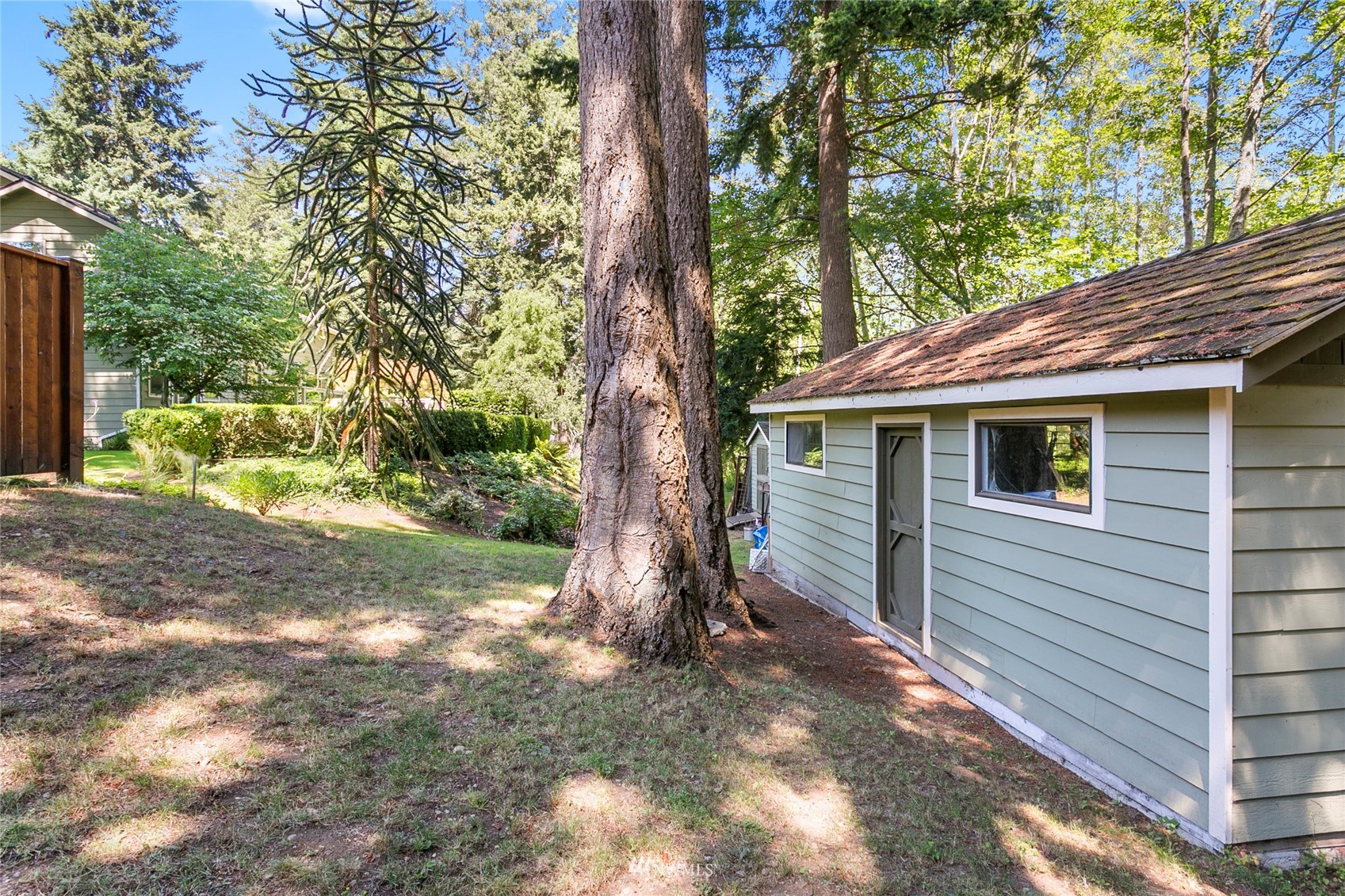 349 Viewcrest Road Bellingham, WA 98229 - Photo 36 of 36 a backyard of a house with large trees and wooden fence