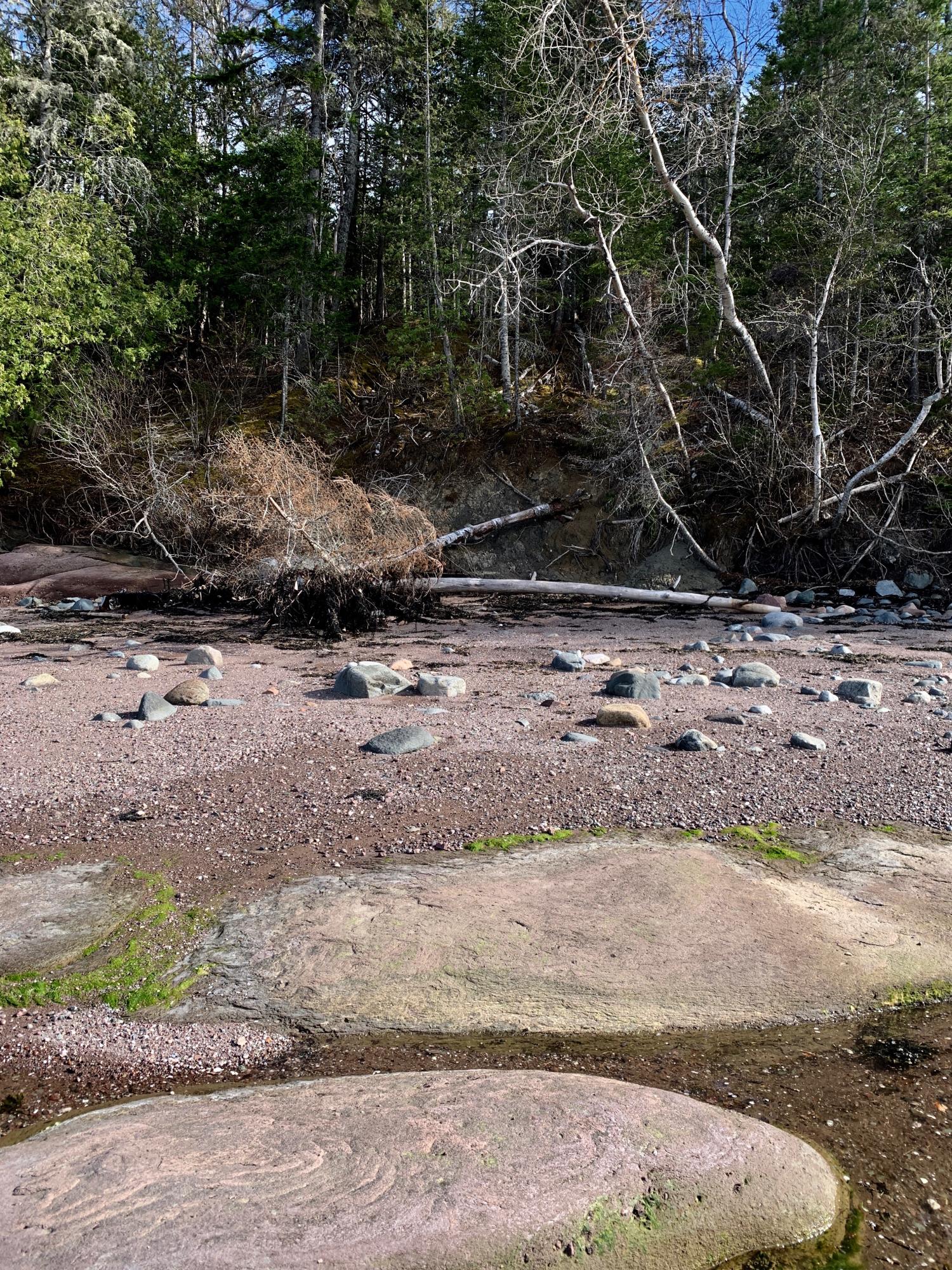 Lot 23 Gin Cove Road Perry, ME 04667 - Photo 30 of 46 IMG_0332