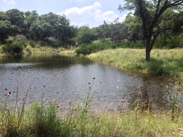 201 Ginger Road, Unit 186 Kerrville, TX 78028 - Photo 1 of 1 Main View