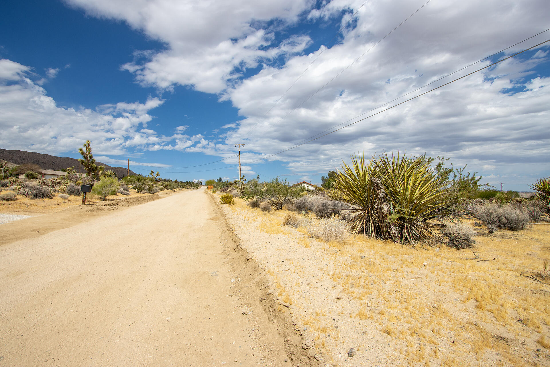 207 Onaga Trail Joshua Tree, CA 92252 - Photo 23 of 27 IMG_1882