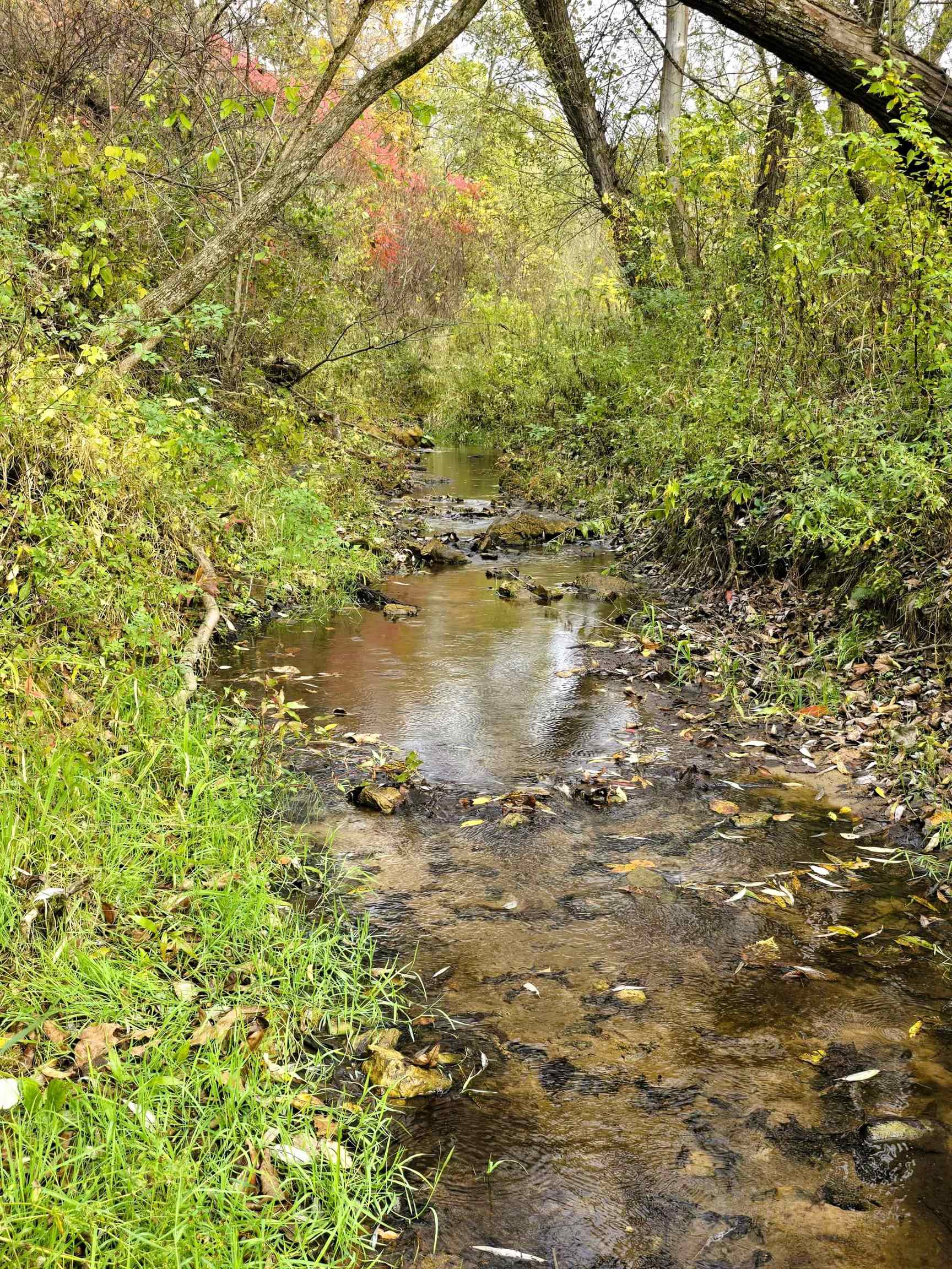 46748 Torgerson Road Soldiers Grove, WI 54655 - Photo 45 of 76 Gallery Image 45