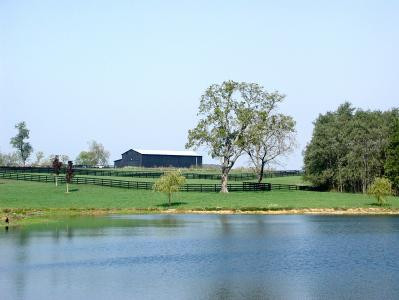 2710 Clintonville Road Paris, KY 40361 - Photo 7 of 8 Photo 7