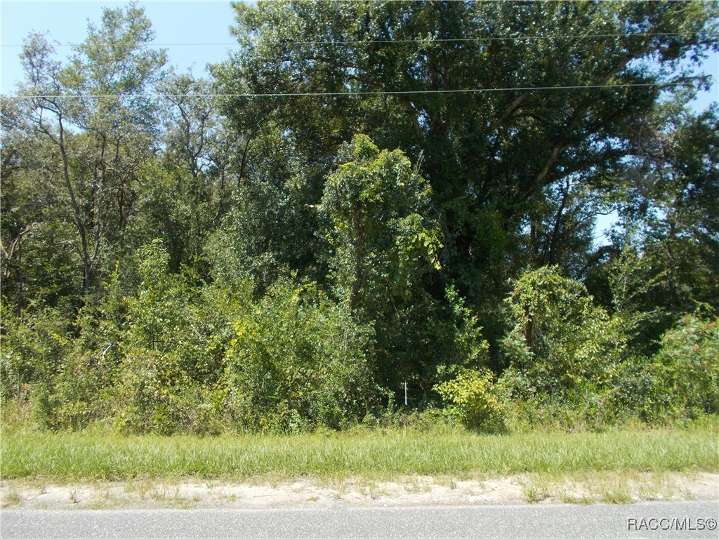 1964 East Celina Street Inverness, FL 34453 - Photo 6 of 9