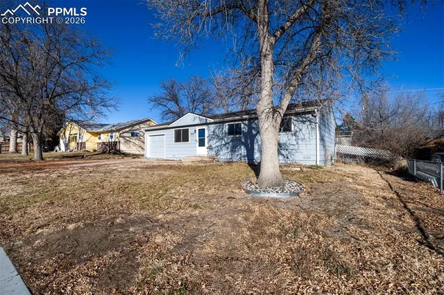 a view of a yard with large tree