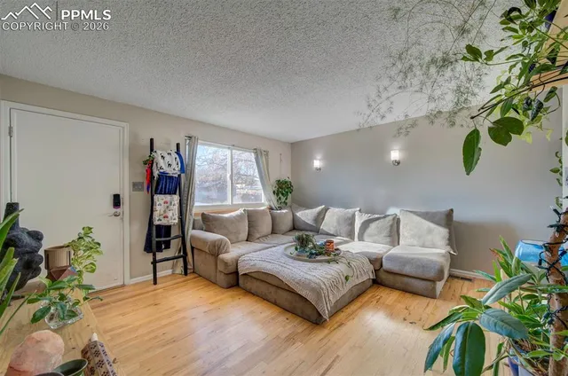 a living room with furniture and a potted plant