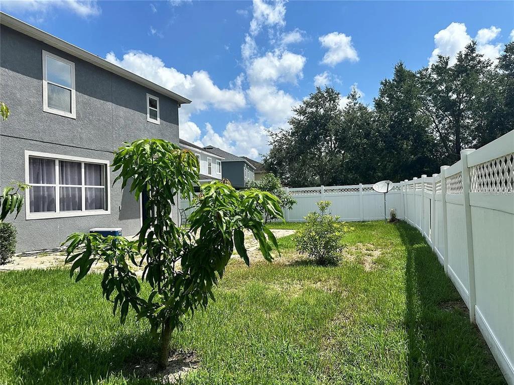 7232 Seedpod Loop Wesley Chapel, FL 33545 - Photo 27 of 60