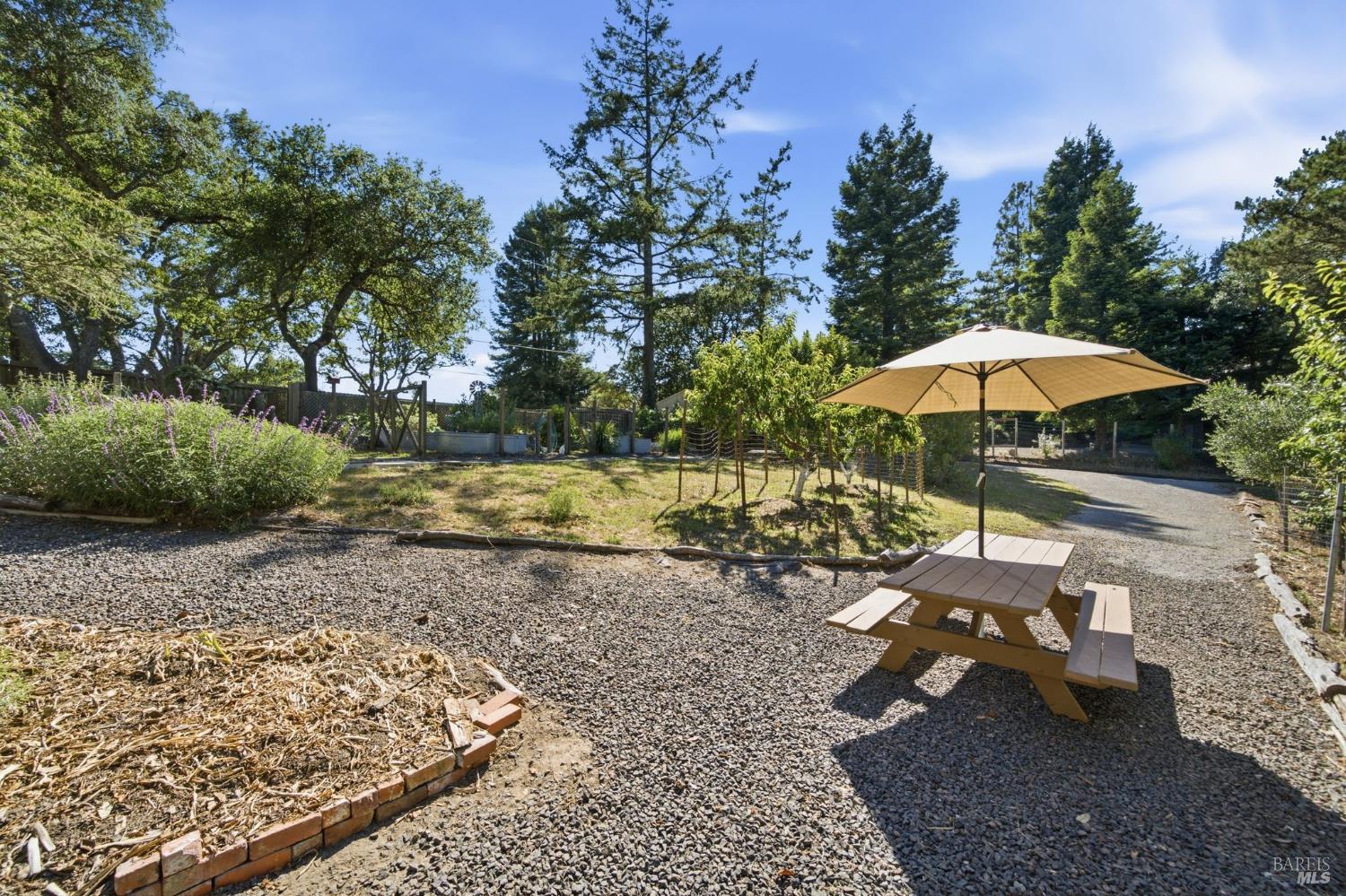 10960 Barnett Valley Road Sebastopol, CA 95472 - Photo 44 of 47