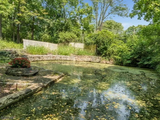 a view of a yard with plants and a bench