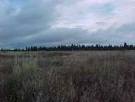 0 South Cross Road Cheney, WA 99004 - Photo 2 of 2