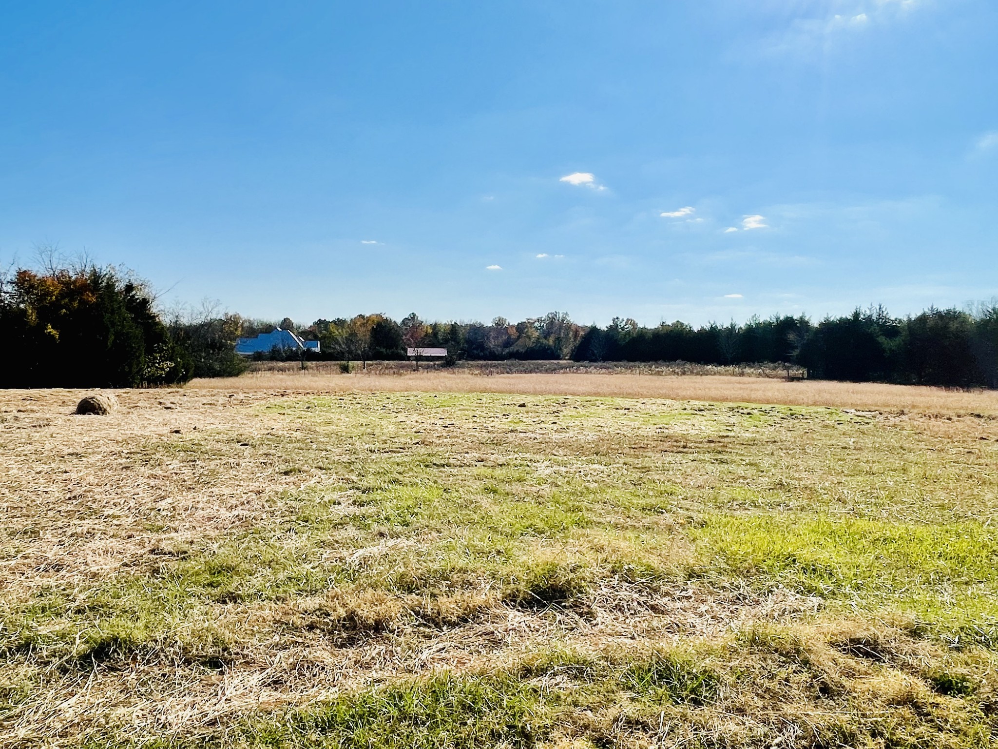 5602 Elam Road Murfreesboro, TN 37127 - Photo 12 of 41 Gallery Image 12