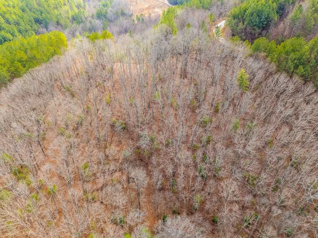 $75,000 | 3.45-ac 3.45-ac Guy Eller Road, Murphy, NC 28906