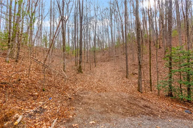 $75,000 | 3.45-ac 3.45-ac Guy Eller Road, Murphy, NC 28906