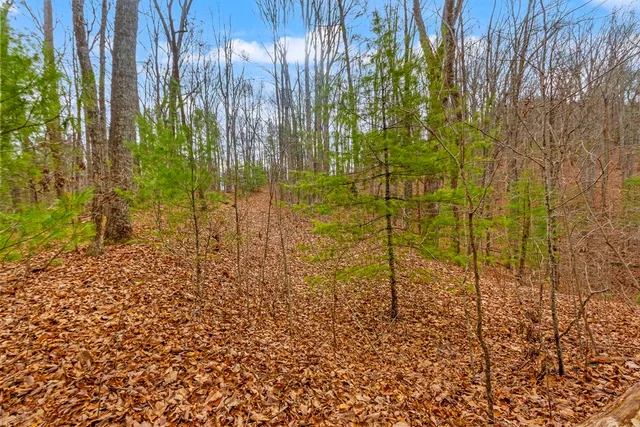 $75,000 | 3.45-ac 3.45-ac Guy Eller Road, Murphy, NC 28906