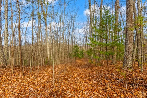a view of a backyard with pathway