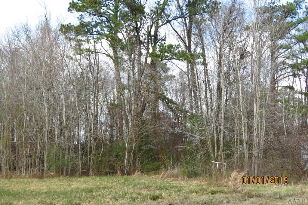 184 Weston Road Creswell, NC 27928 - Photo 7 of 8 Gallery Image 7
