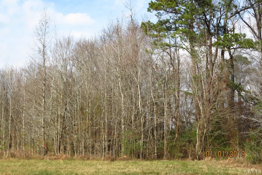 184 Weston Road Creswell, NC 27928 - Photo 8 of 8 Gallery Image 8