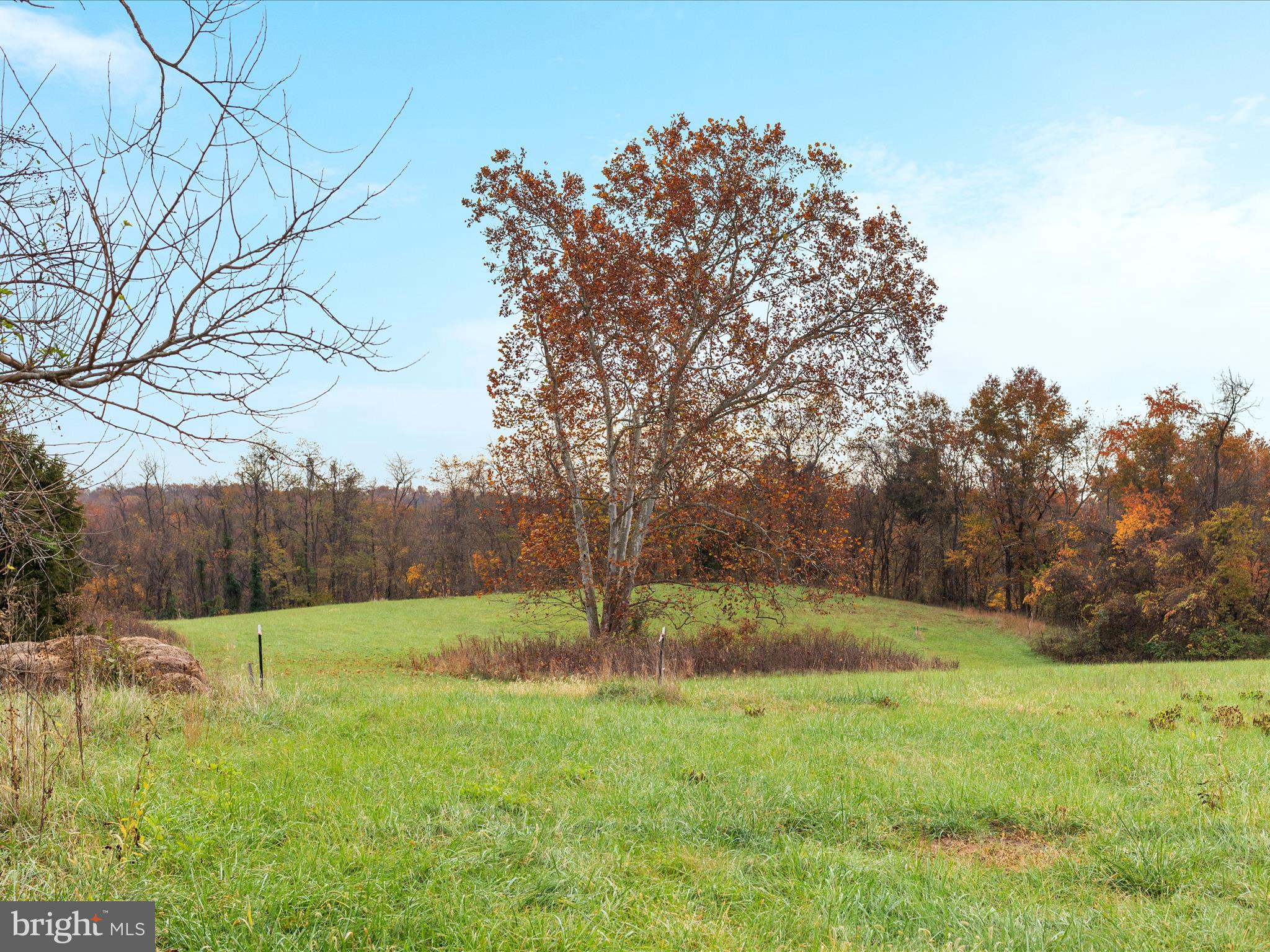 43725 Spinks Ferry Road Leesburg, VA 20176 - Photo 15 of 34