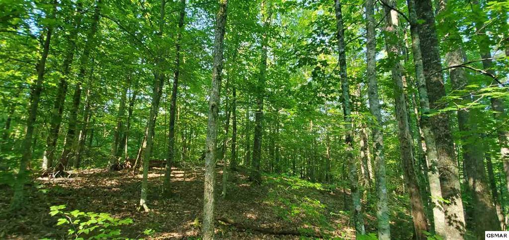 Mountain Way Sevierville, TN 37862 - Photo 1 of 11 229474-8