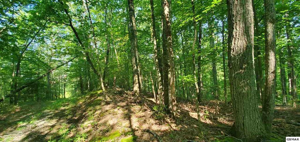 Mountain Way Sevierville, TN 37862 - Photo 3 of 11 229474-2