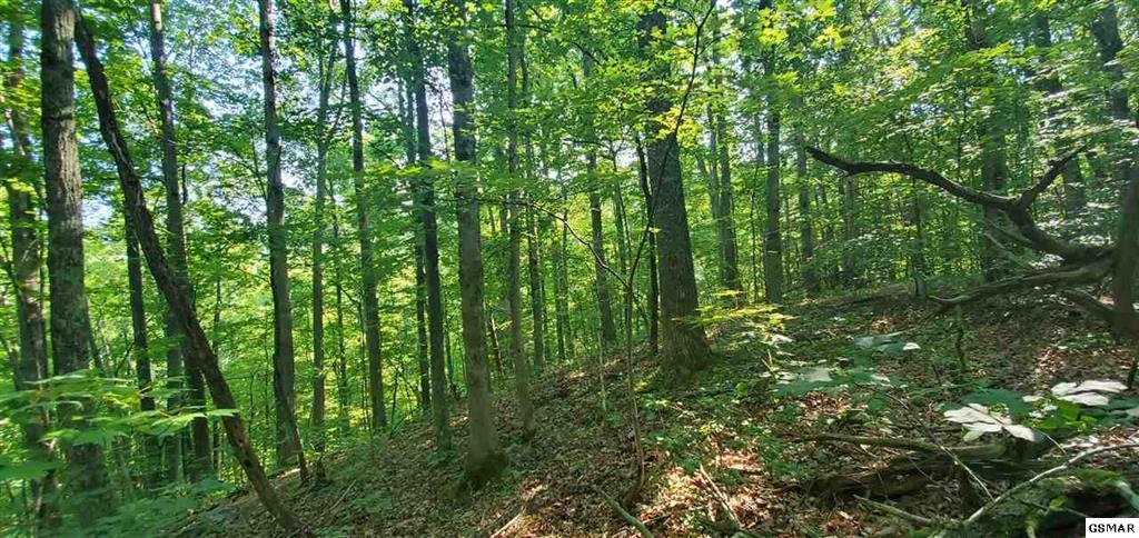 Mountain Way Sevierville, TN 37862 - Photo 6 of 11 229474-6