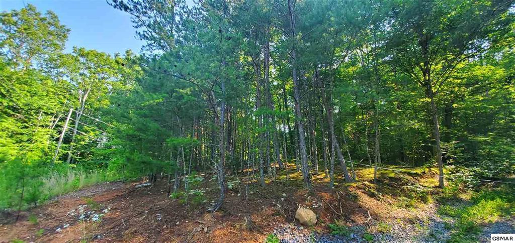 Mountain Way Sevierville, TN 37862 - Photo 10 of 11 229474-14