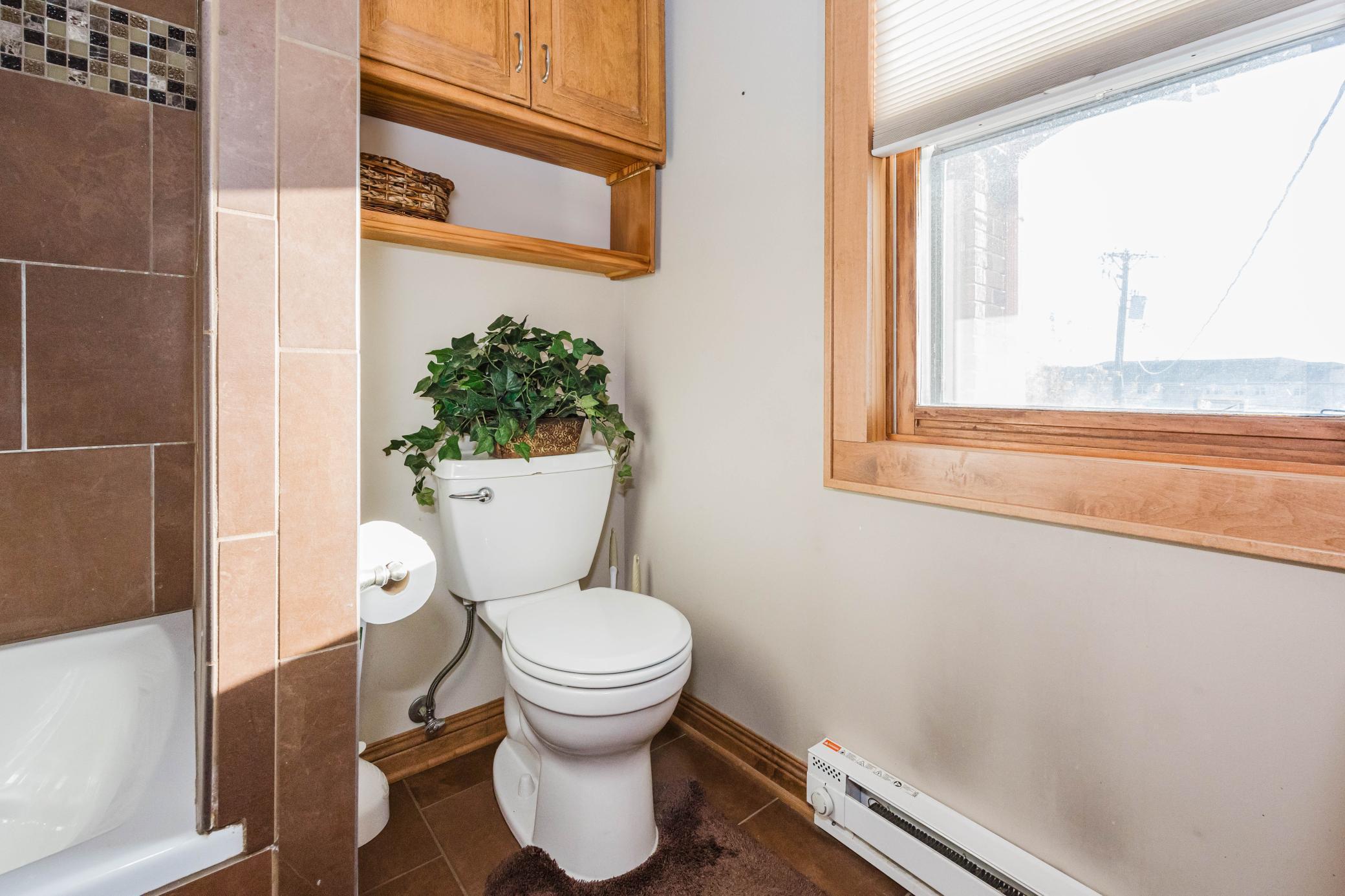 1053 Lake Avenue Detroit Lakes, MN 56501 - Photo 44 of 83