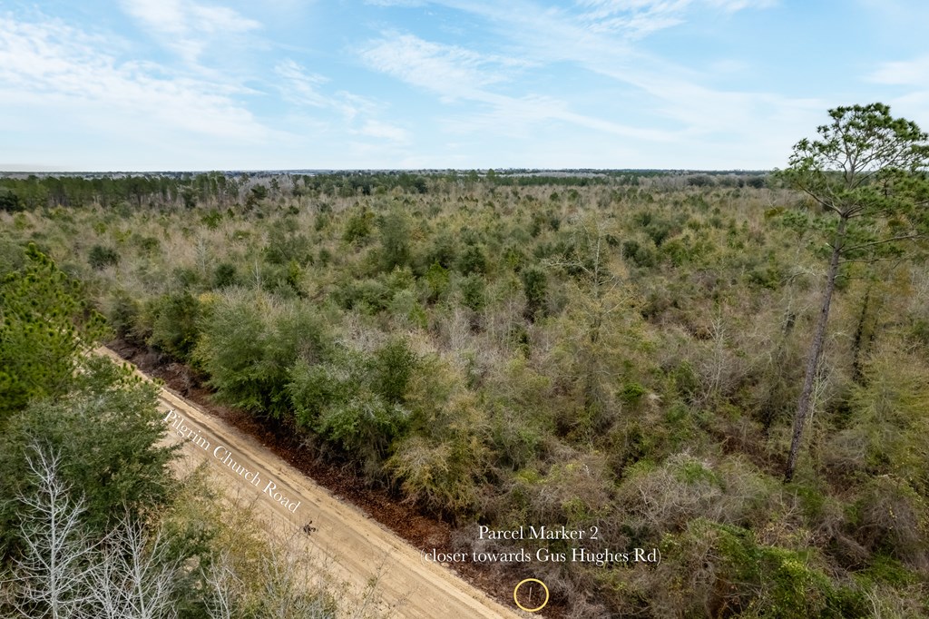 2 Pilgram Ch Road Gordon, AL 36343 - Photo 9 of 17