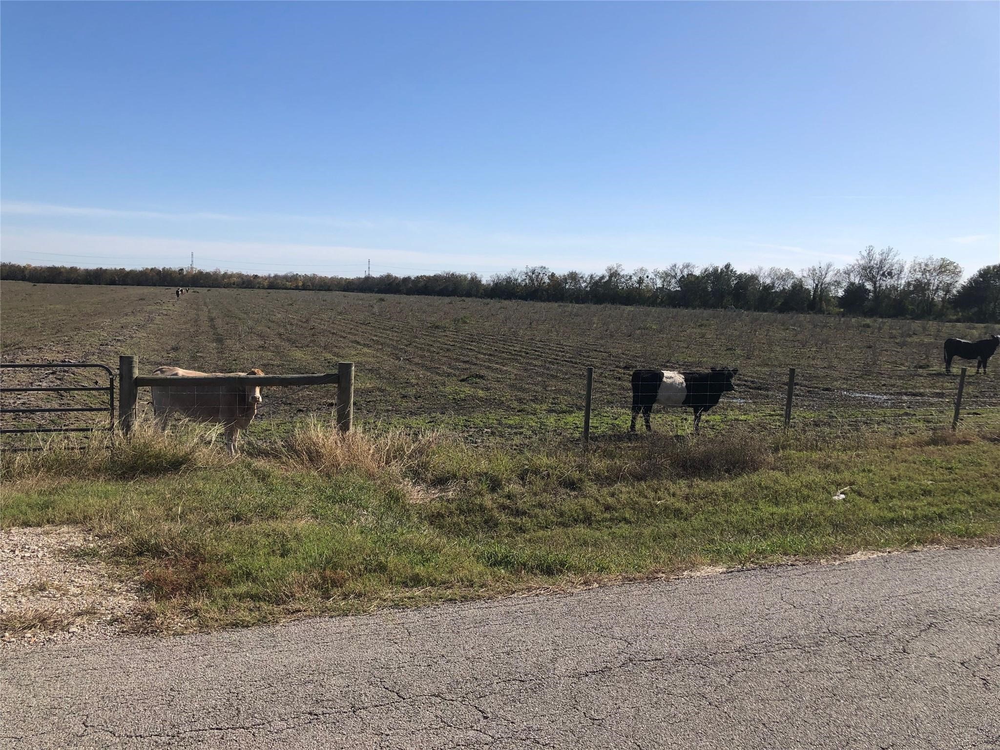 0 Dannhaus Road Needville, TX 77461 - Photo 18 of 21 Gallery Image 18