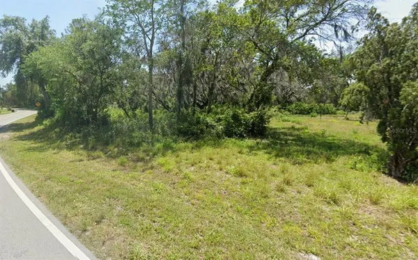 a view of a garden