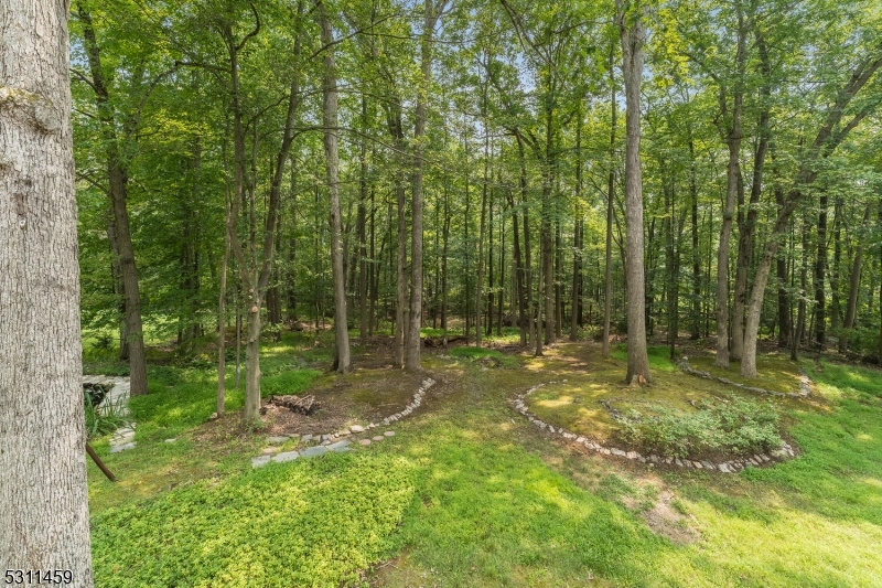 56 Mountainside Road Mendham, NJ 07945 - Photo 41 of 47