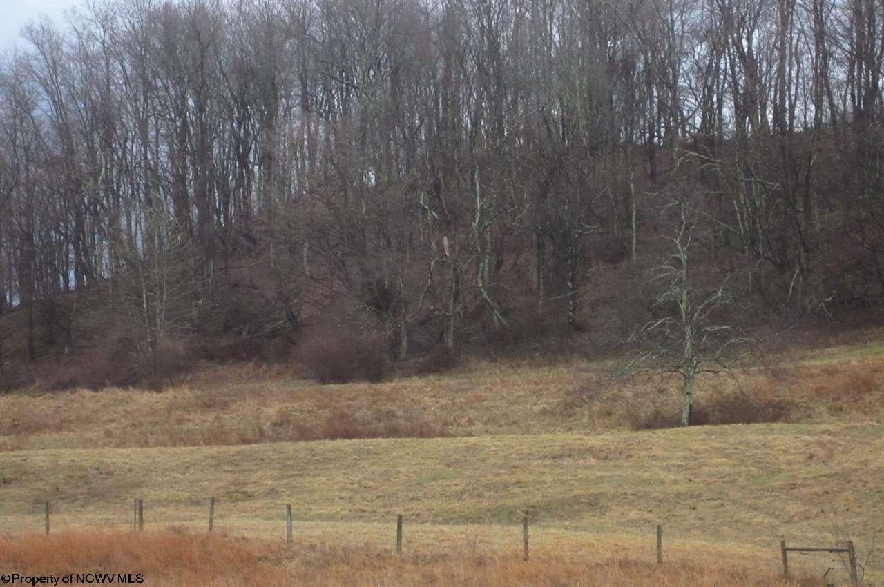 Tbd Oak Ridge Drive Mount Clare, WV 26408 - Photo 6 of 11 Gallery Image 6