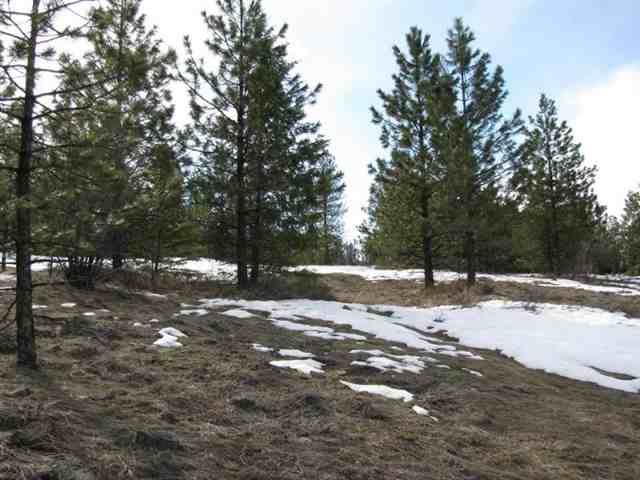 0 Clark Lake Road Hunters, WA 99137 - Photo 4 of 6