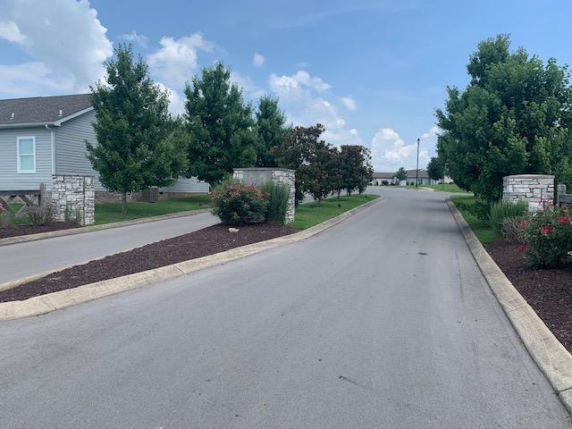 1136 Wrights Mill Road Spring Hill, TN 37174 - Photo 18 of 19 a road view with a garden
