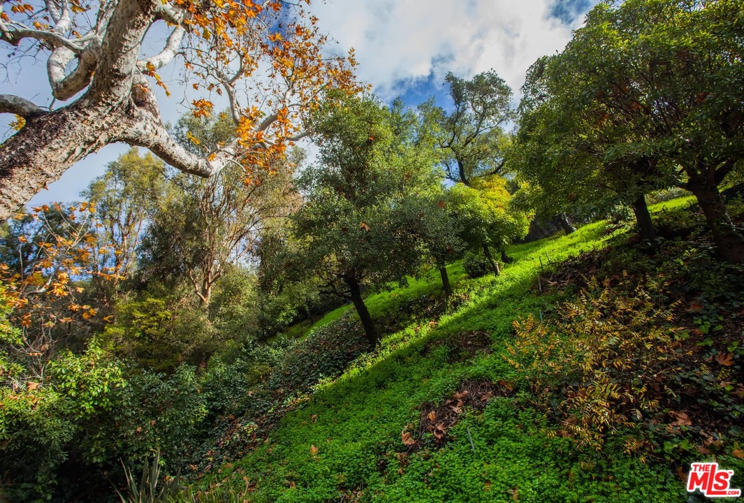 1000 Stone Canyon Road Los Angeles, CA 90077 - Photo 36 of 37
