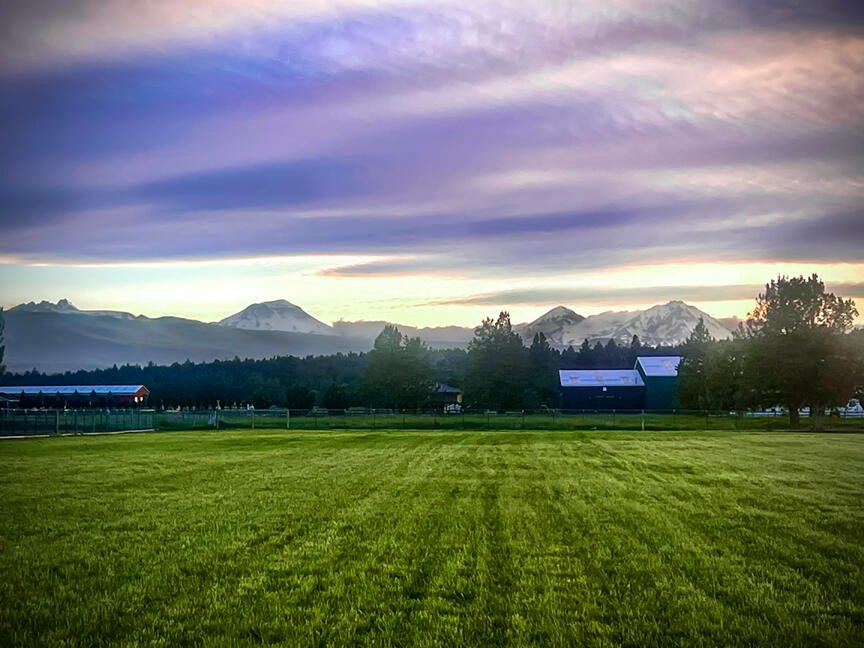 Mountains Views and field