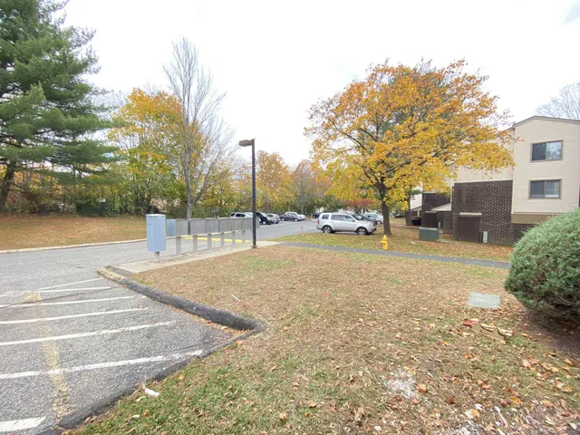 a view of road with trees