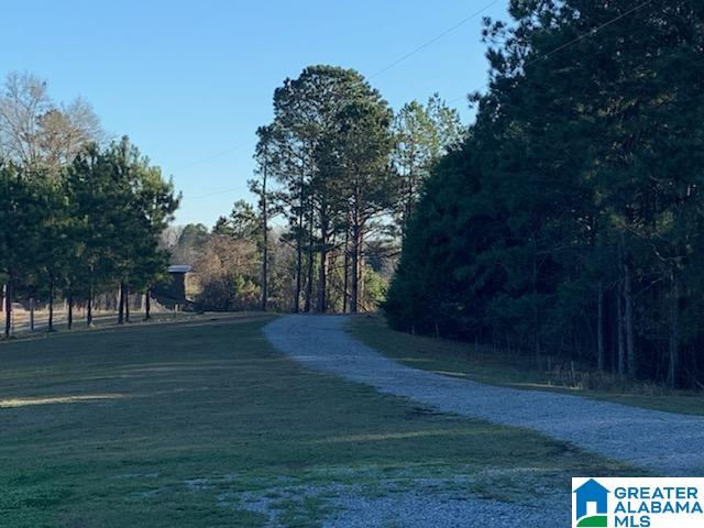 110 Old West Road, Unit 1 Thorsby, AL 35171 - Photo 2 of 4