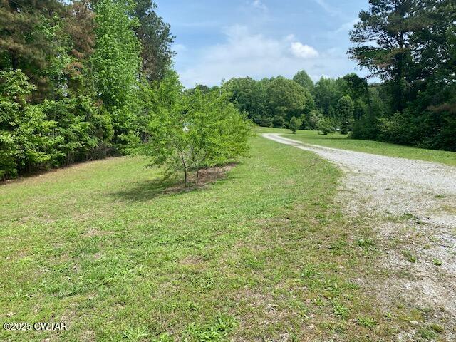 415 Mills Darden Road Lexington, TN 38351 - Photo 20 of 30 a view of a field with an trees