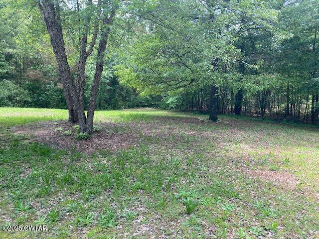 415 Mills Darden Road Lexington, TN 38351 - Photo 24 of 30 a view of a big yard with a tree