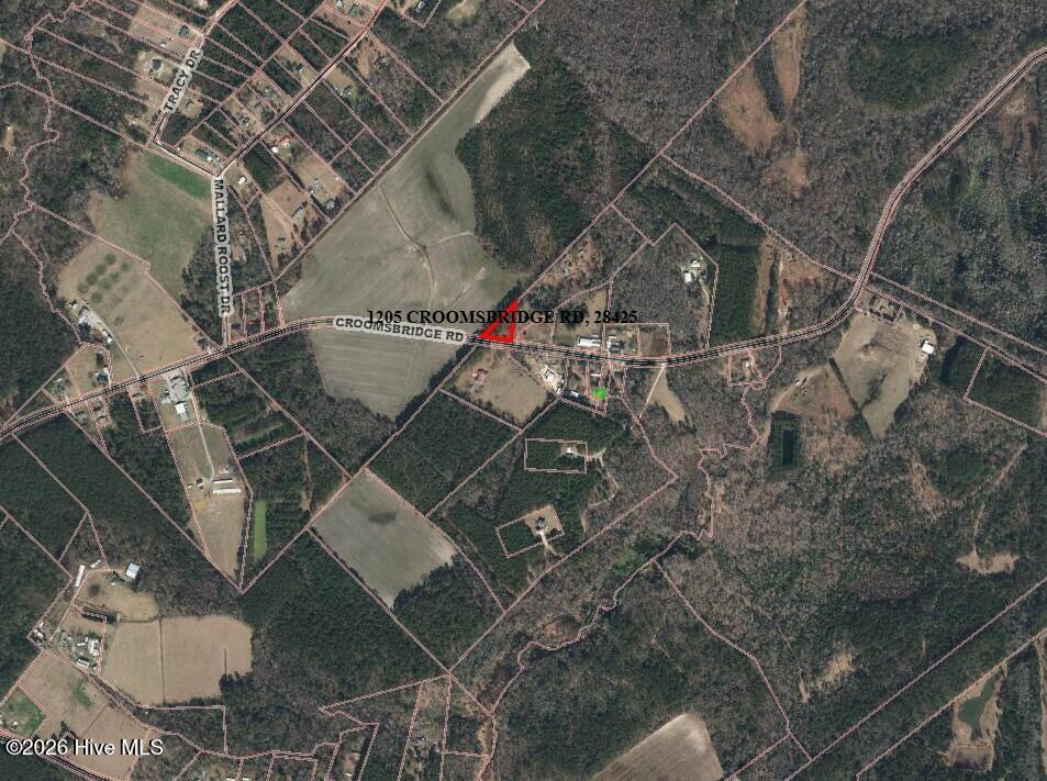 1205 Croomsbridge Road Burgaw, NC 28425 - Photo 2 of 2 Arial 2