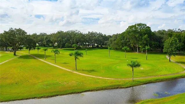 a view of a tennis ground with large trees