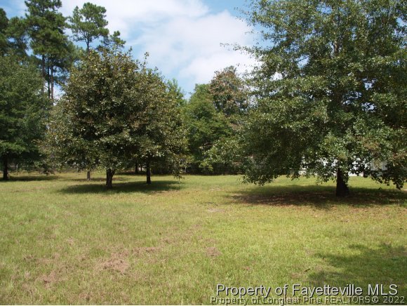 242 Ponderosa Road Cameron, NC 28326 - Photo 15 of 17 Gallery Image 15
