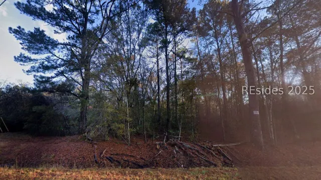 $22,500 | 0 Cohen Road, Pineland, SC 29934