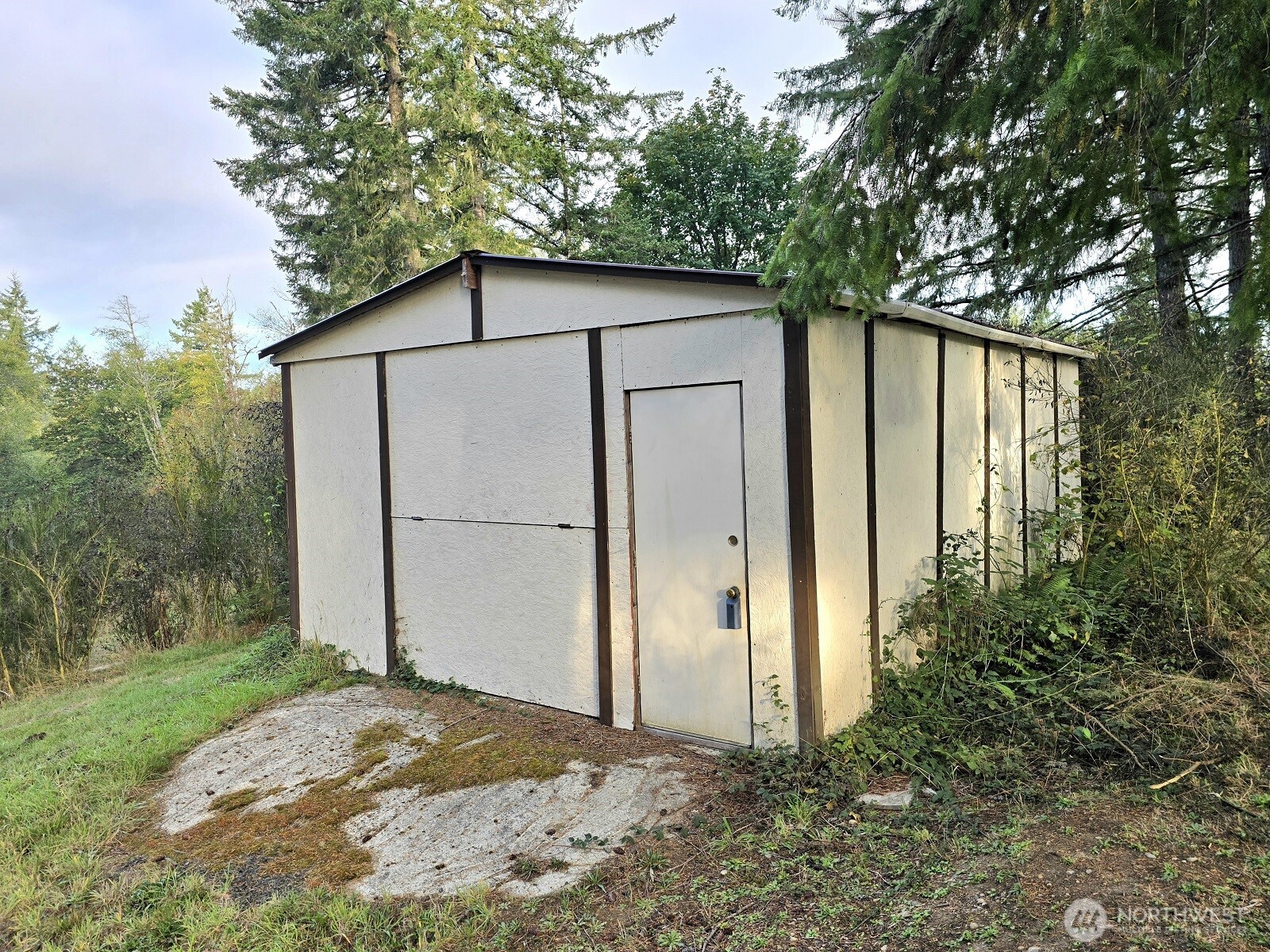 310 East Rauschert Road Grapeview, WA 98546 - Photo 4 of 11 a backyard of a house with plants and tree
