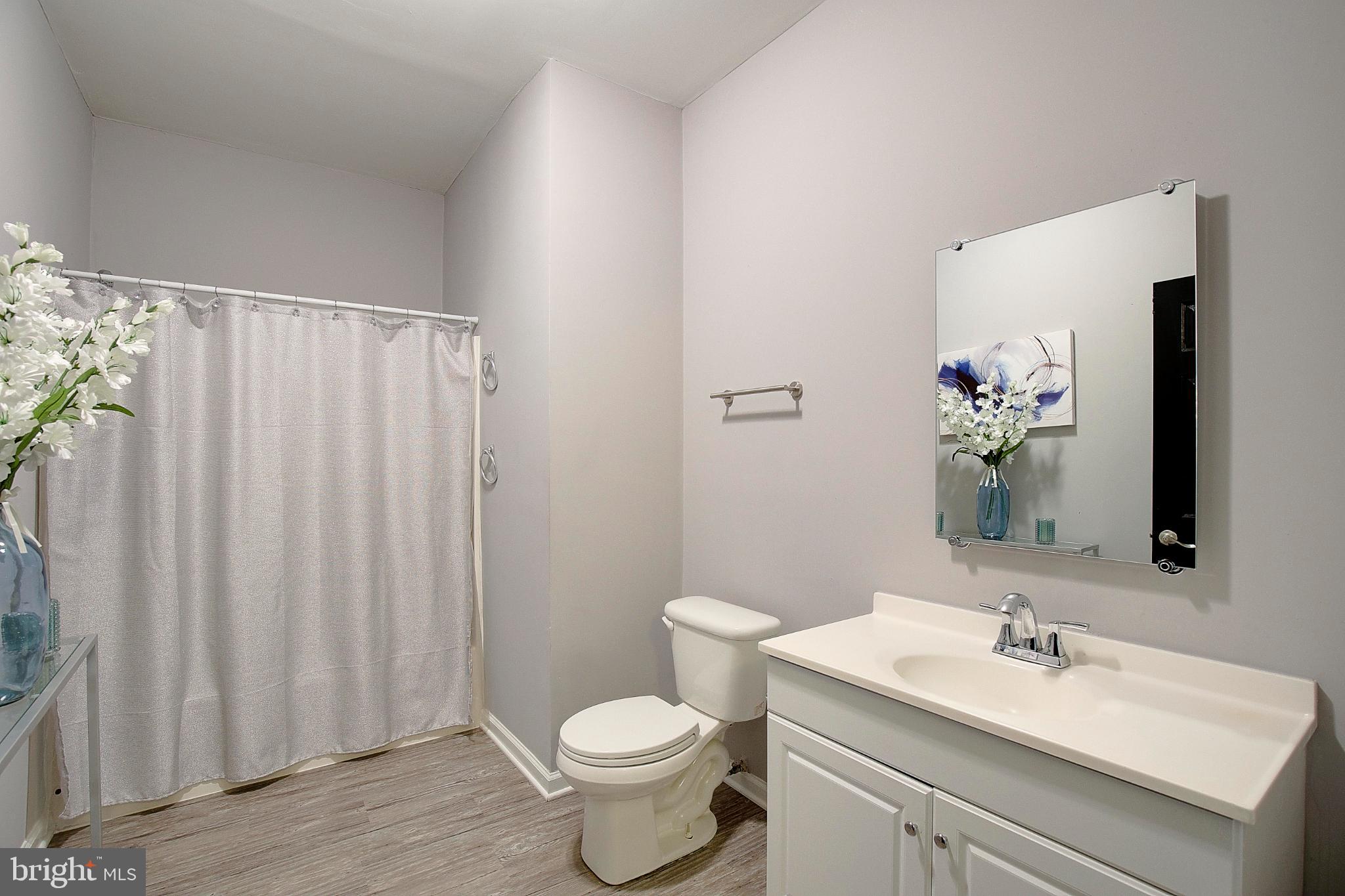 16811 Aquasco Road Brandywine, MD 20613 - Photo 18 of 34 Serene bathroom with modern touches.