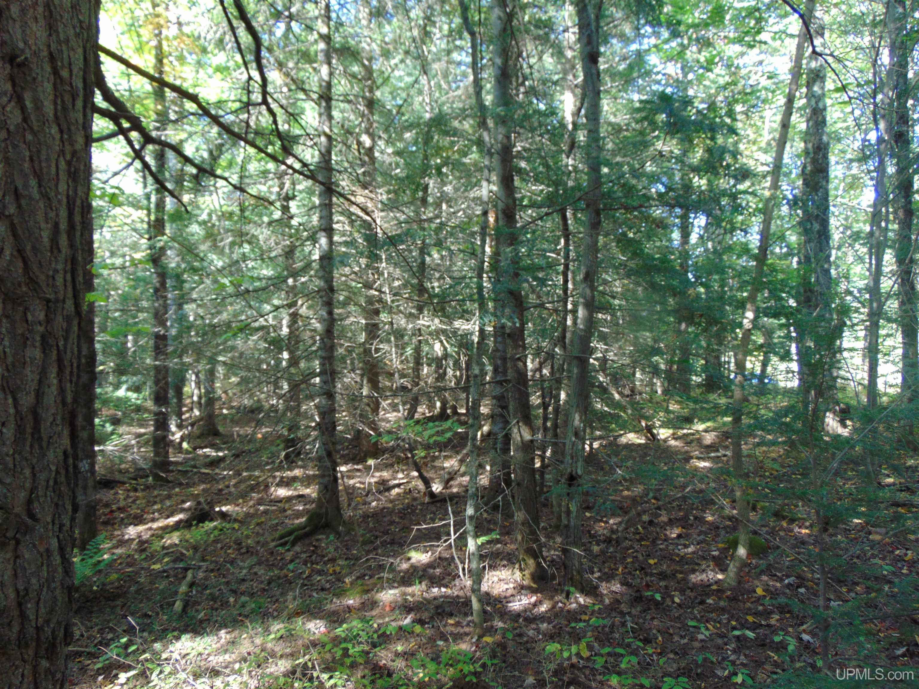 1 Moore Road Bessemer, MI 49911 - Photo 30 of 36